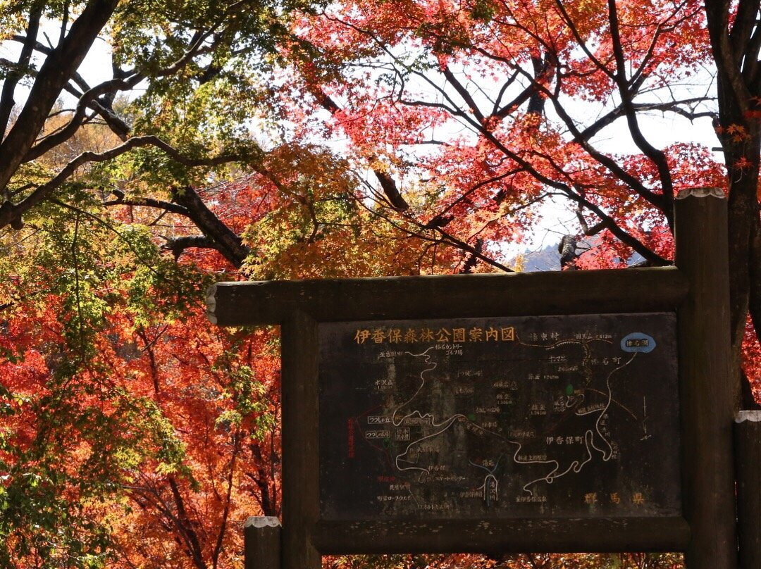 Ikaho Shinrin Park景点图片