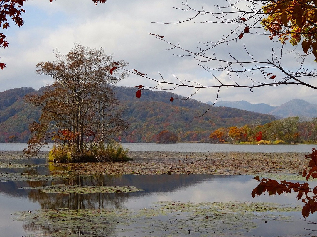 Lake Konumako-七饭町必去景点