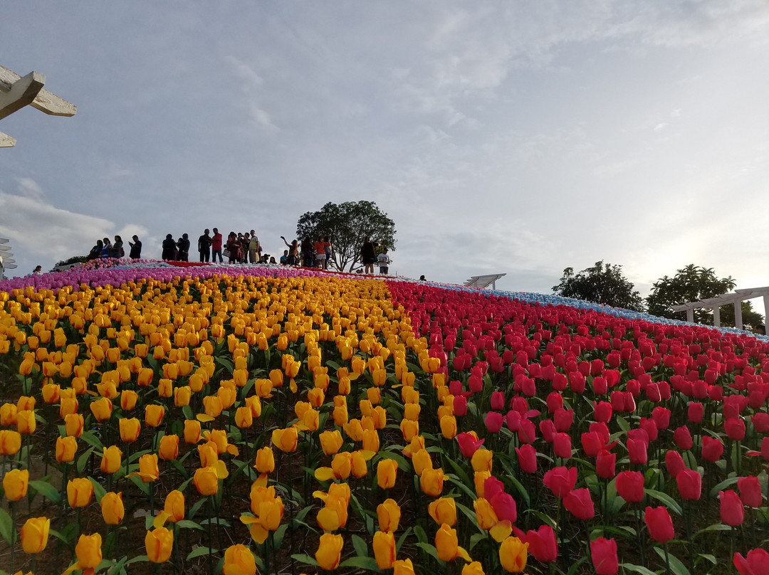 Jardin Necitas景点图片