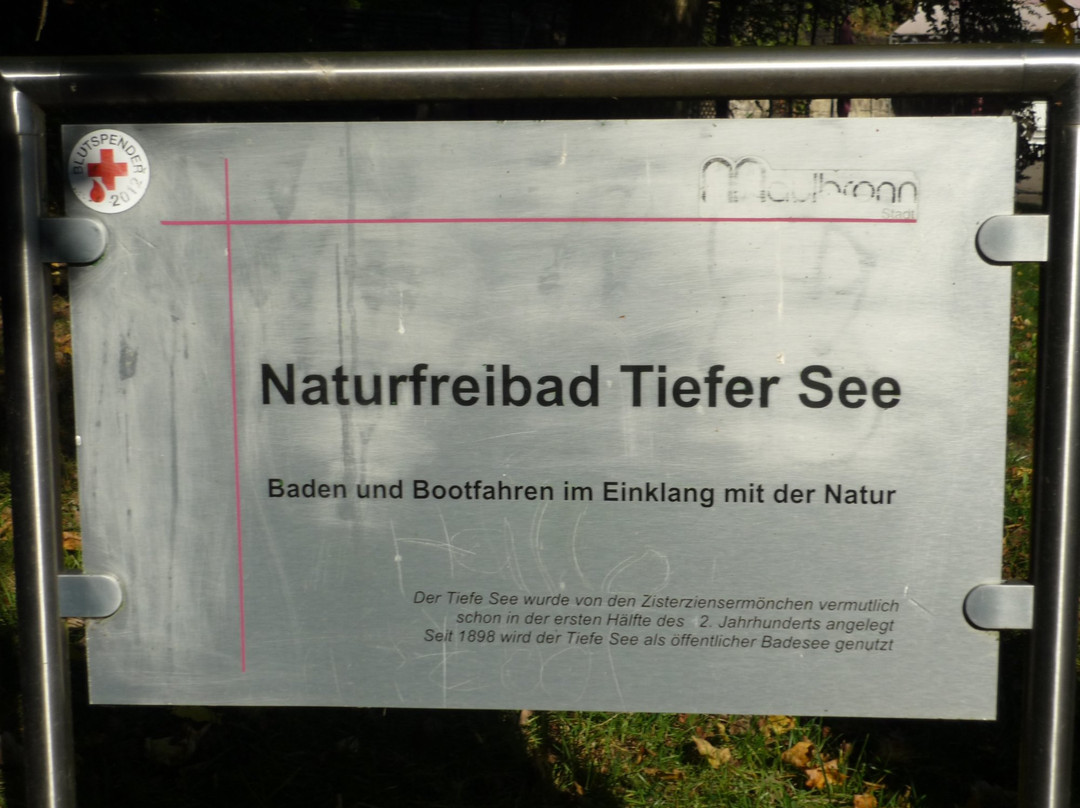 Badesee Tiefer See景点图片
