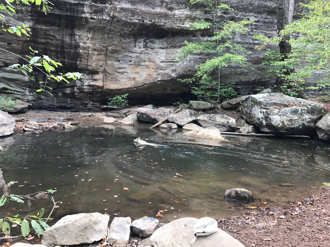 Jackson Falls Trail景点图片