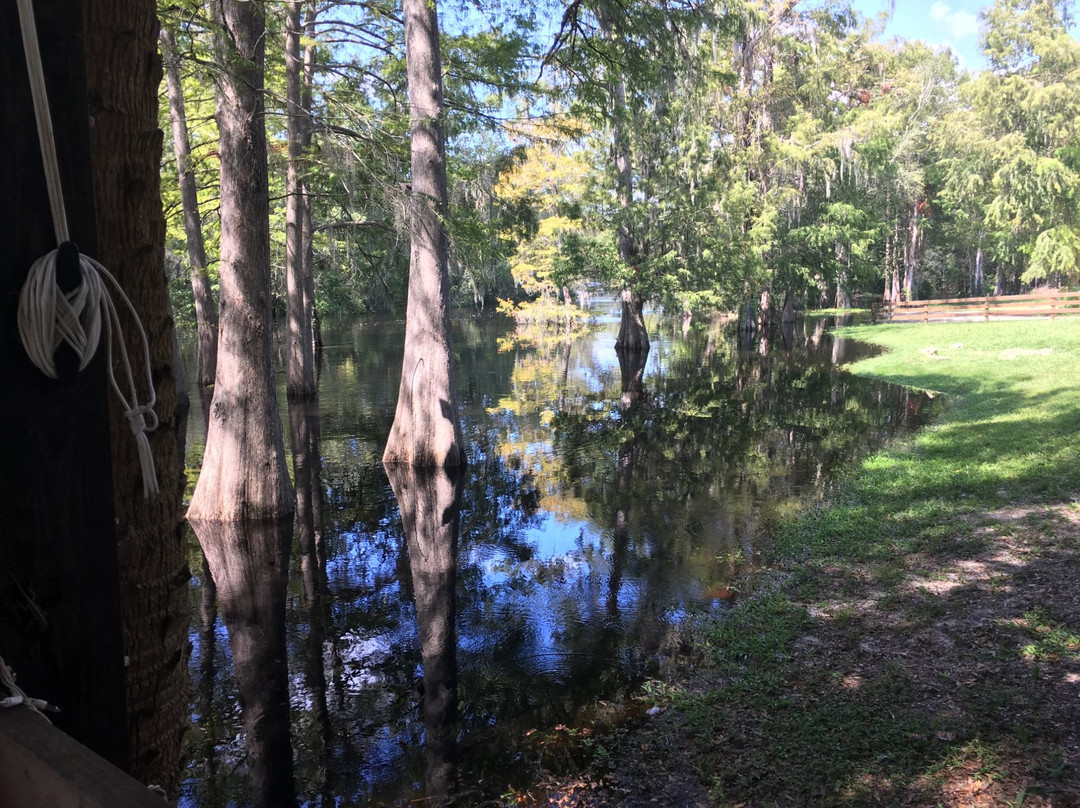 BJ's Airboat Adventures-Lake Panasoffkee必去景点