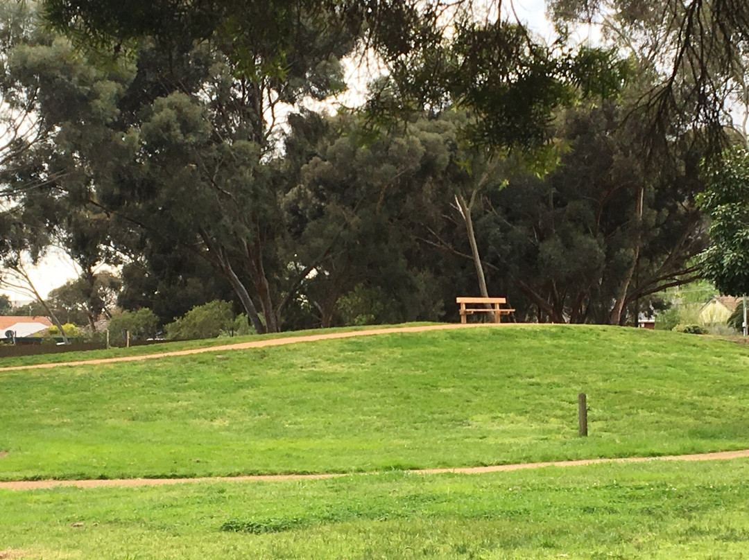 Burwood Skyline Drive In Playground-宝活必去景点
