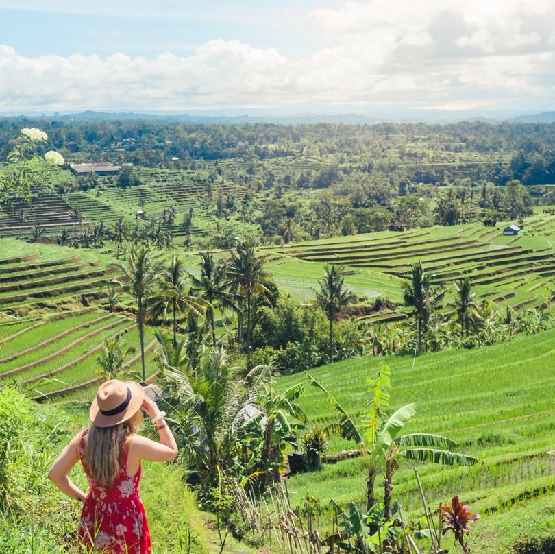 Agos Bali Travel-金巴兰必去景点