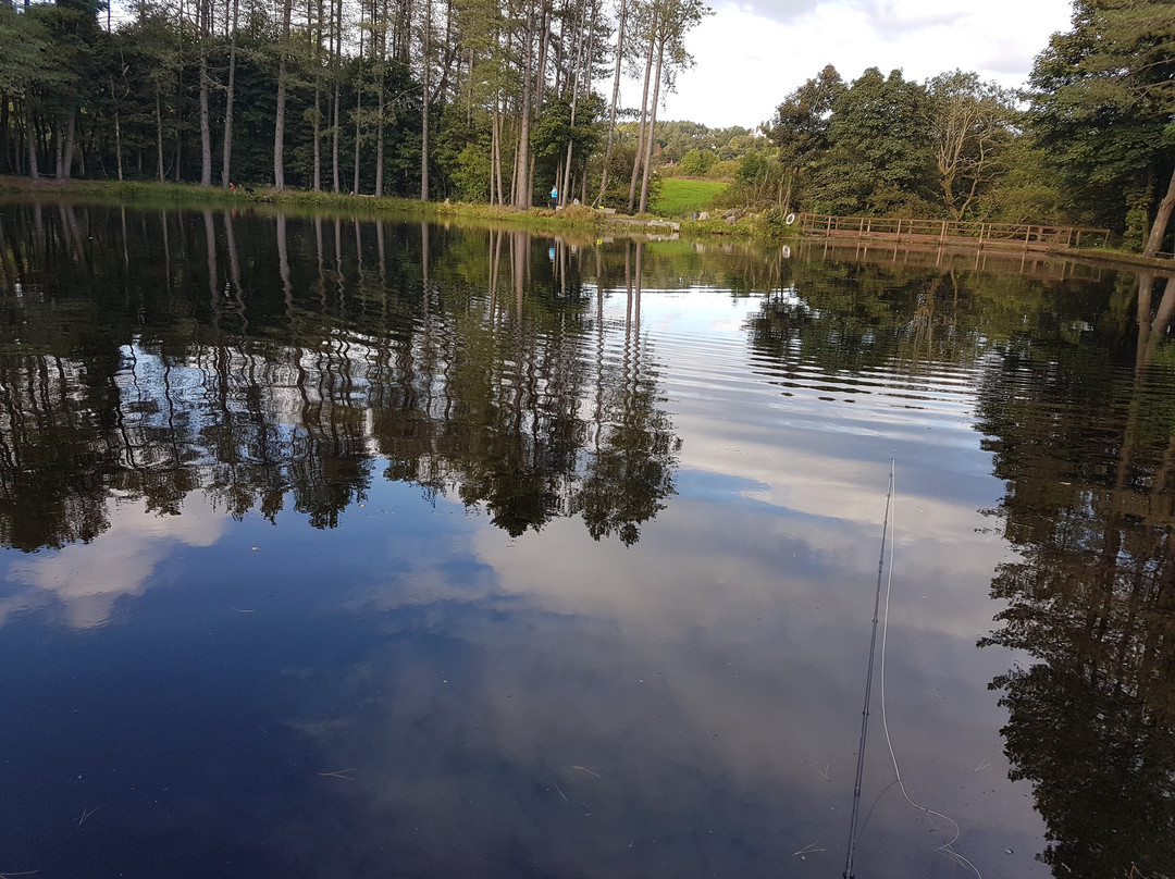 Lawfield Trout Fishery景点图片