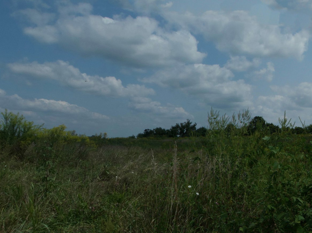 Van Meter State Park-Miami必去景点