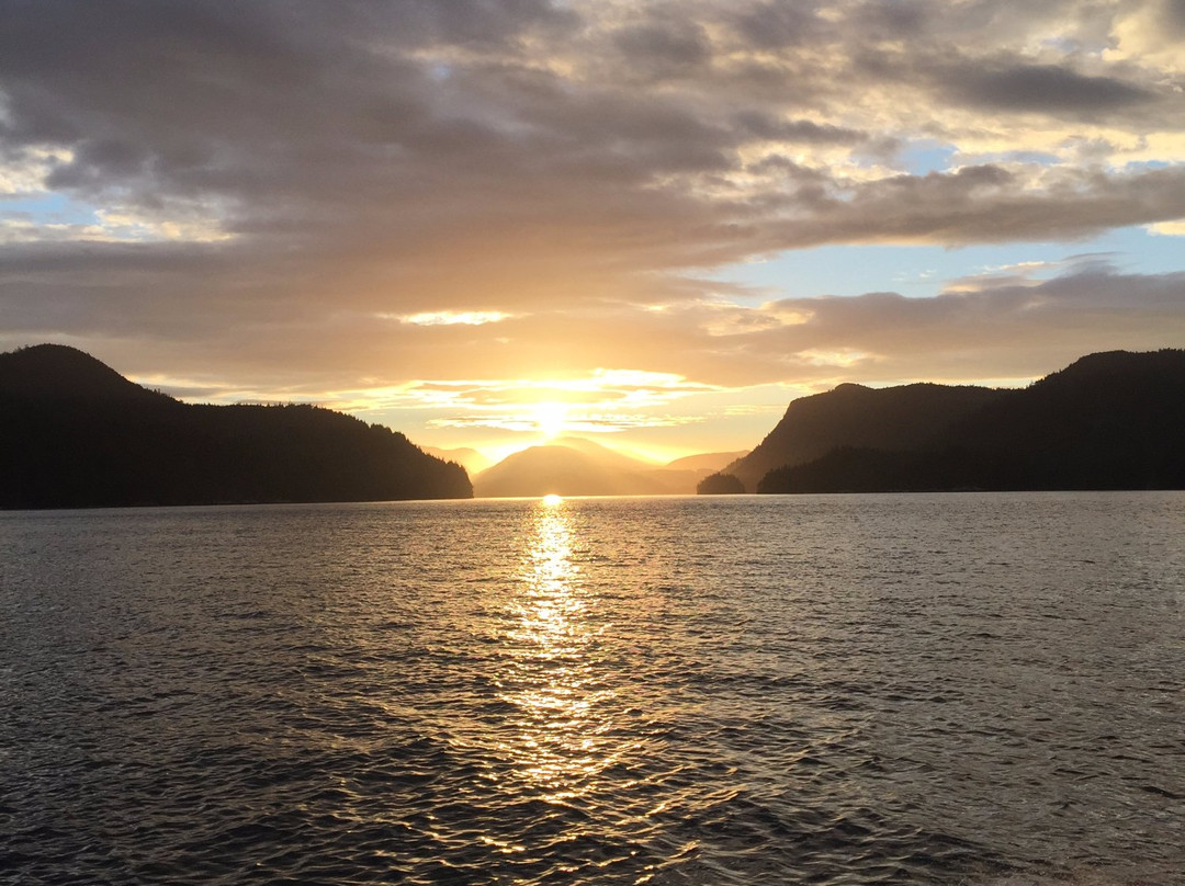 Coastal Island Fishing Adventures-坎贝尔里弗必去景点