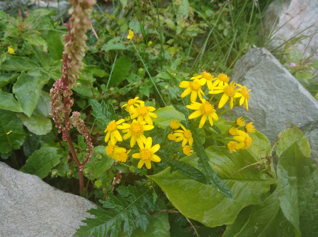 Wildfun Adventure Treks & Tours-帕哈甘必去景点