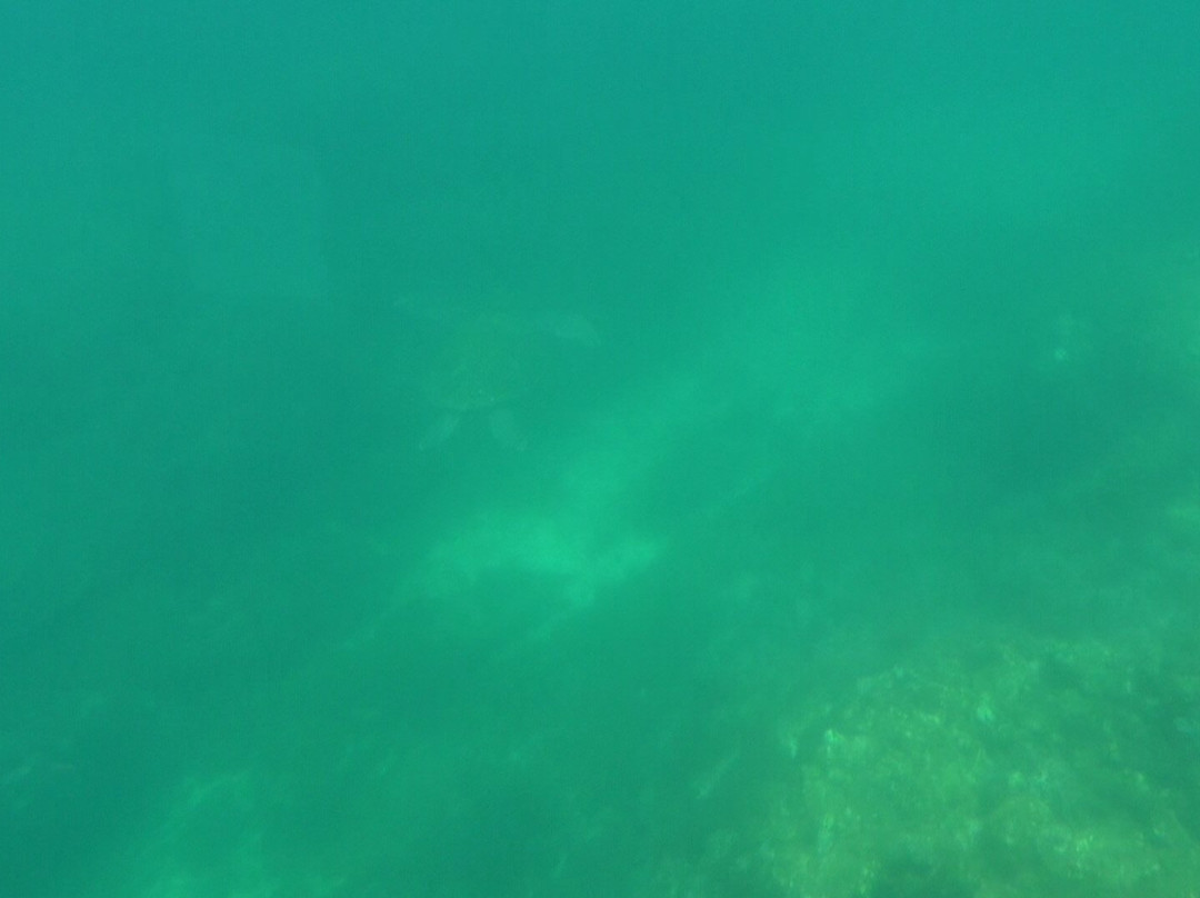 Underwater Vision Ship Saturday景点图片