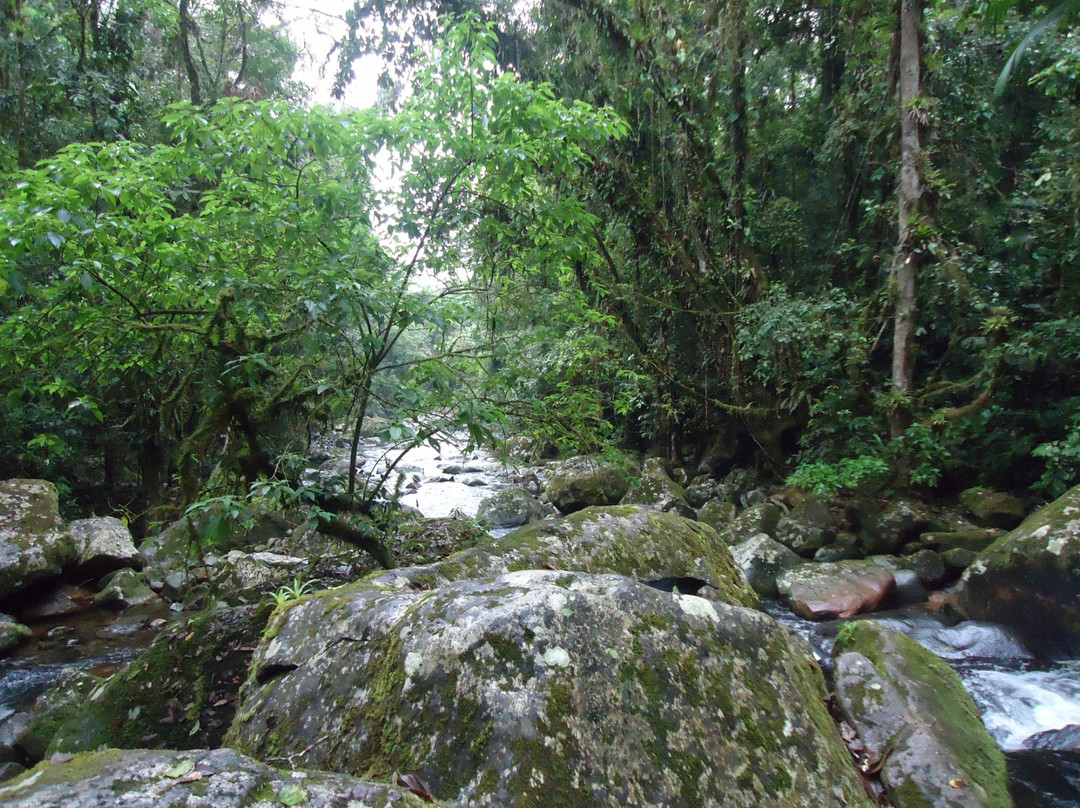 Parque Estadual do Pau Oco景点图片