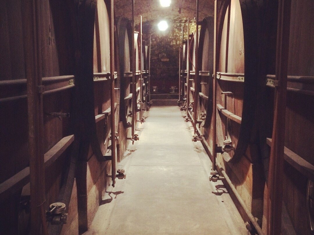 Château Vignelaure景点图片