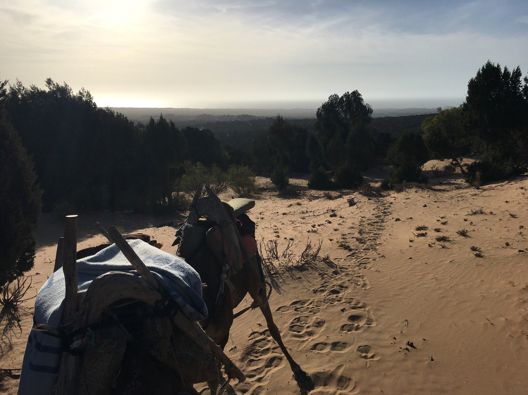 Rando For You-索维拉必去景点