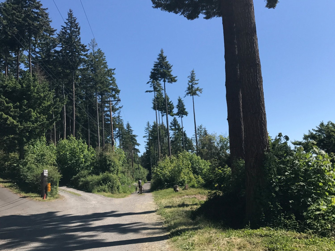 Interurban Trail景点图片