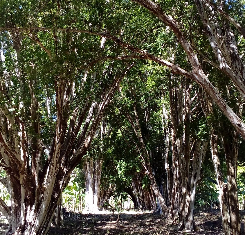 Serra da Balanca-Goncalves必去景点