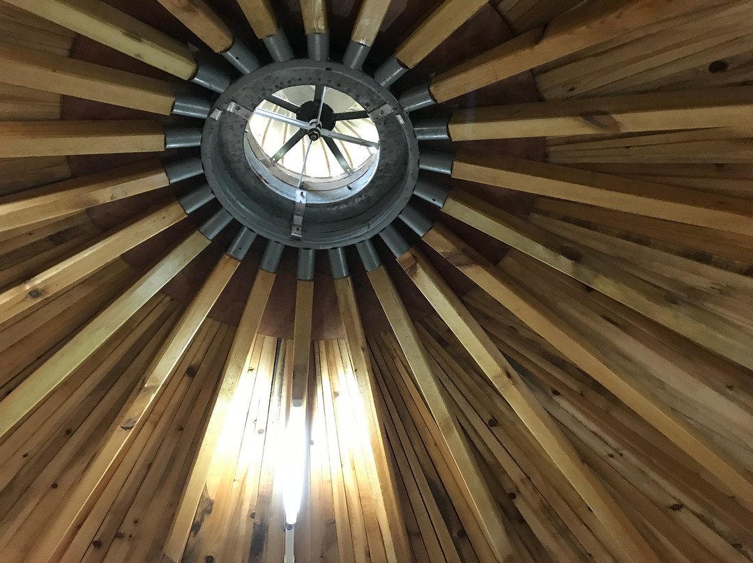 泰生天地-崇明县必去景点