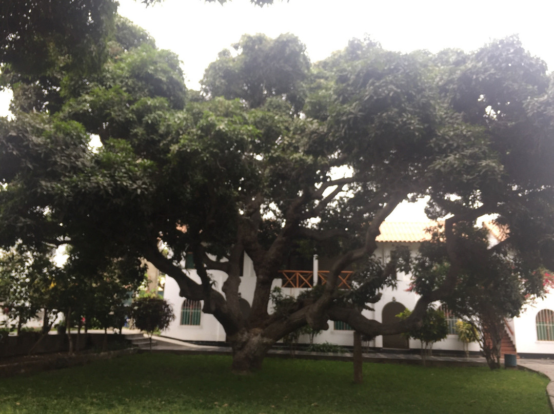 El Farol Inn Casma主图