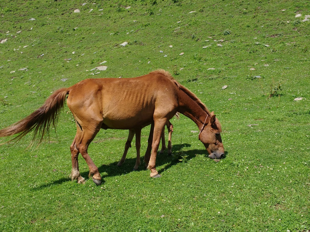 Chinta Valley-Doda必去景点