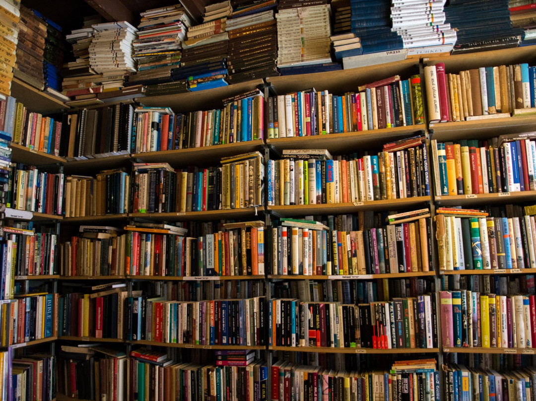 Holzer - Books-耶路撒冷必去景点