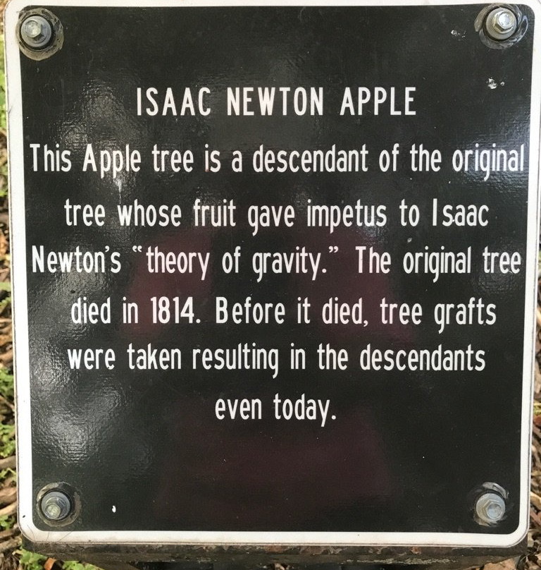 Living Heritage Tree Museum-斯托姆莱克必去景点