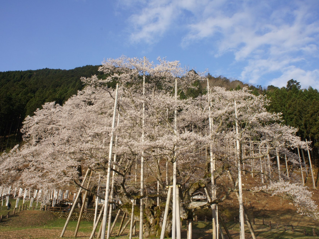 Usuzumi Park景点图片