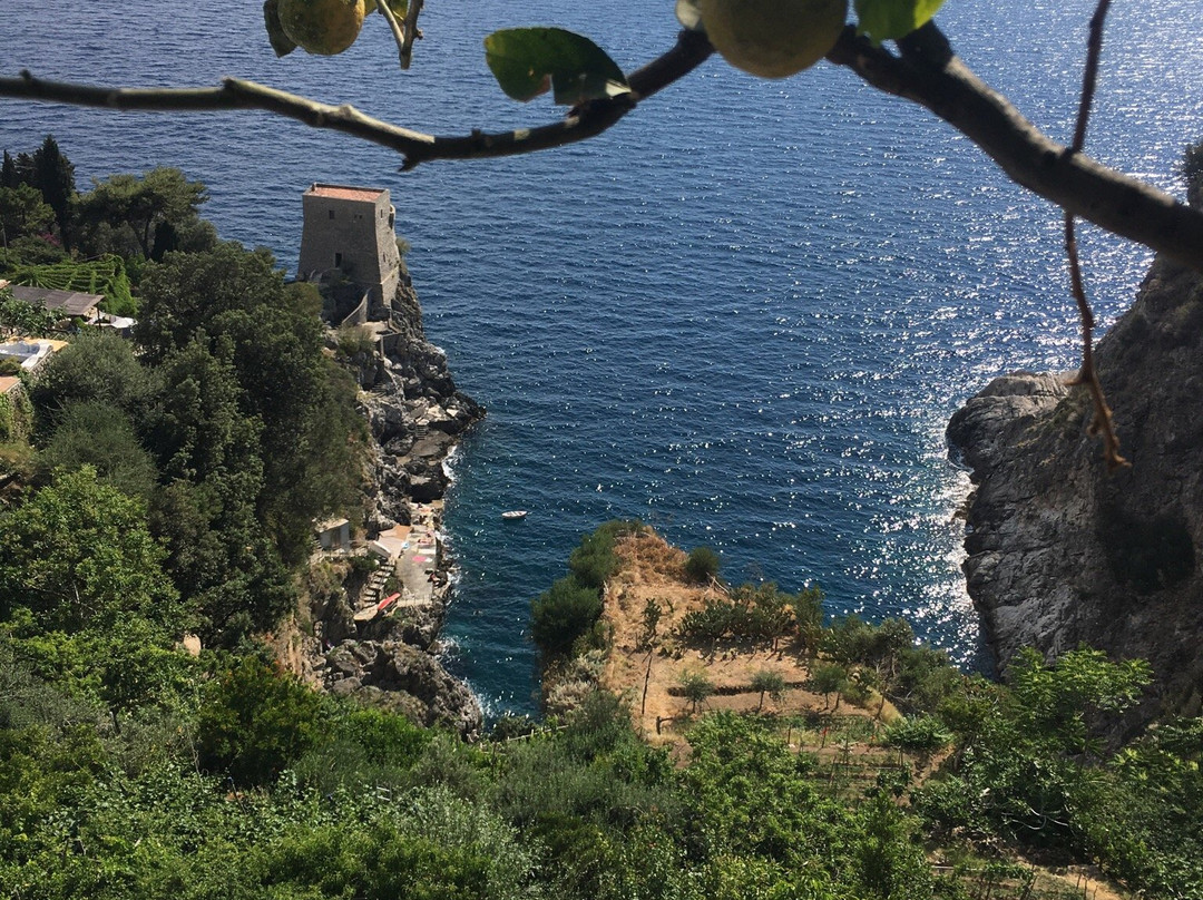 Torre di Grado景点图片