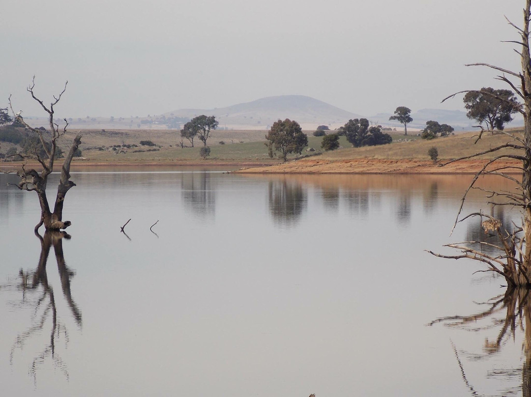 Tullaroop Reservoir景点图片
