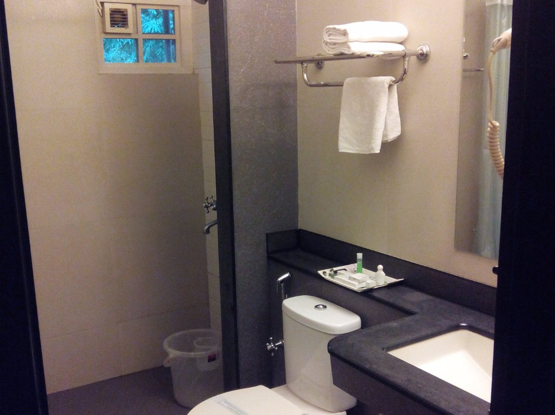 The Hotel Elegance主图