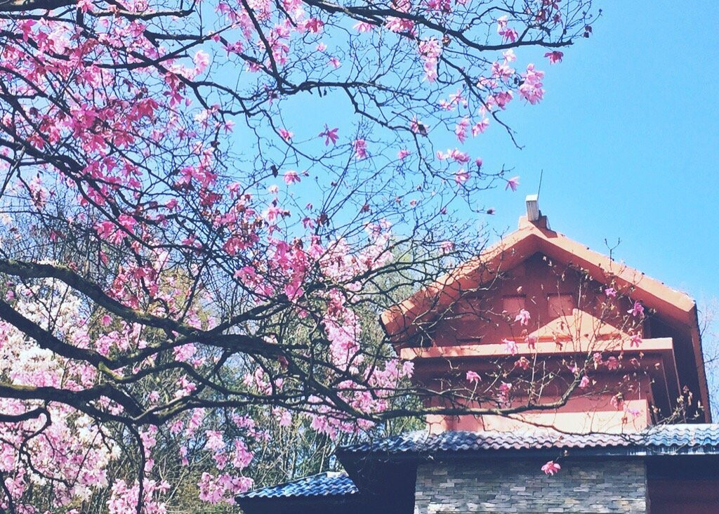 药王谷旅游景区景点图片
