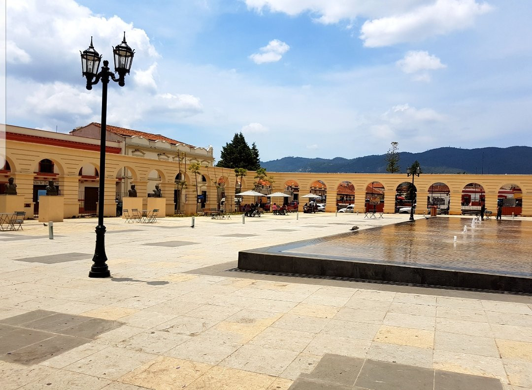 Parque Central Manuel Velasco Suárez景点图片
