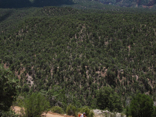Colorado Backcountry Biker-弗鲁塔必去景点