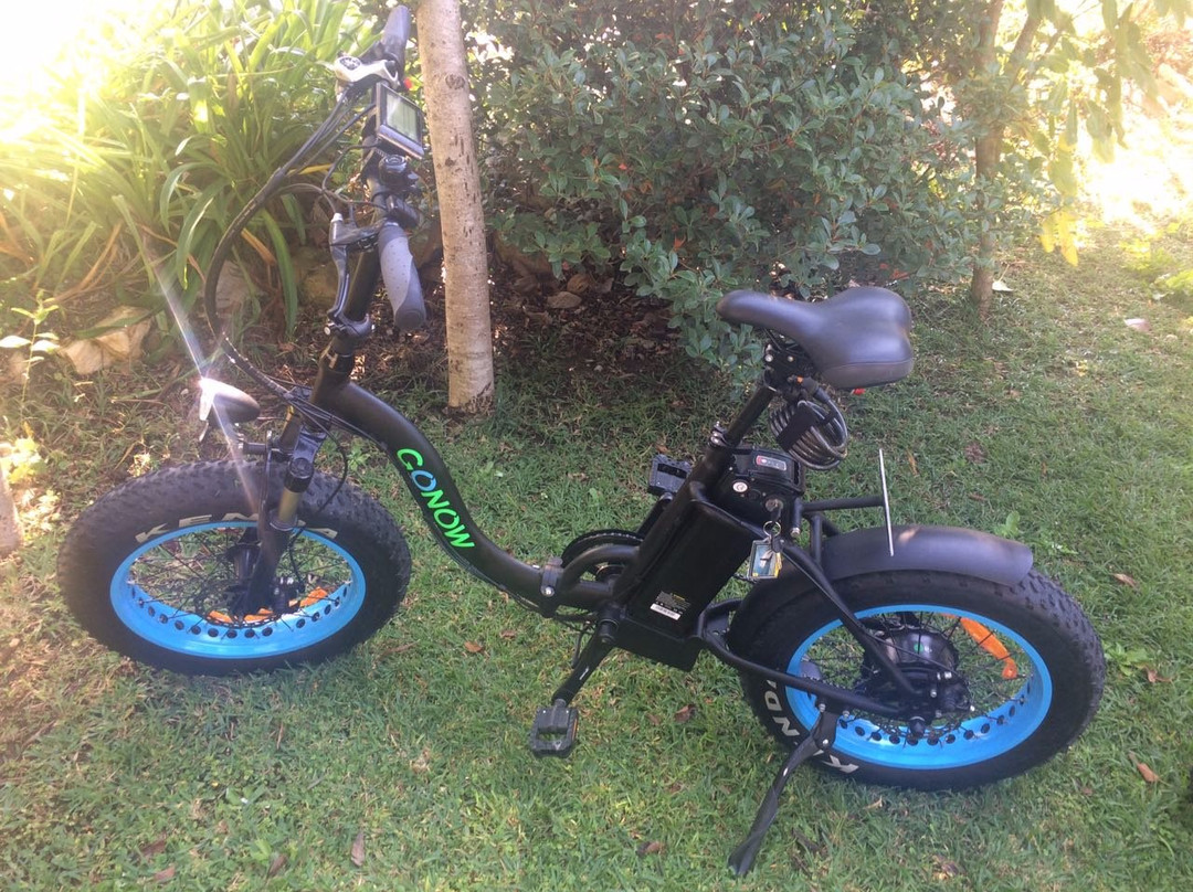 GONOW Electric bikes Knysna-克尼斯纳必去景点