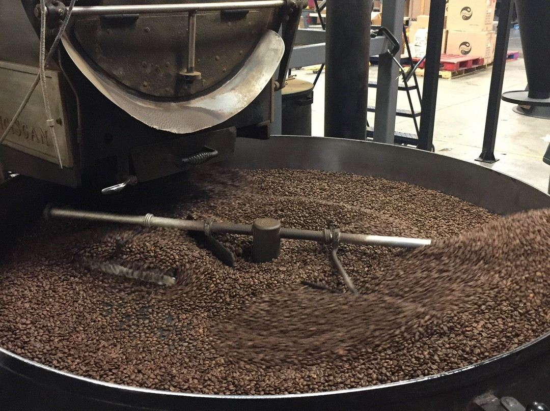 New Mexico Piñon Coffee-阿尔伯克基必去景点