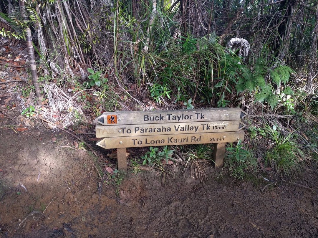 Pararaha Valley Track景点图片
