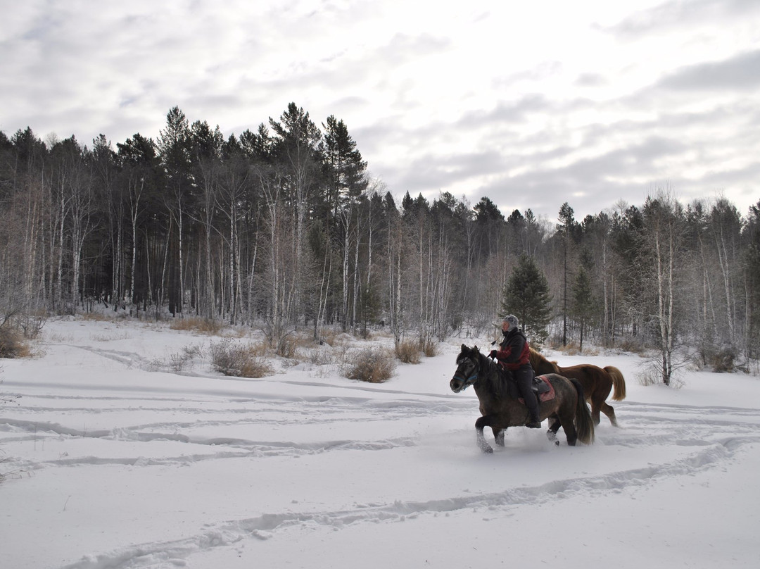 Baikal Horse-Riding and Tourist Center景点图片