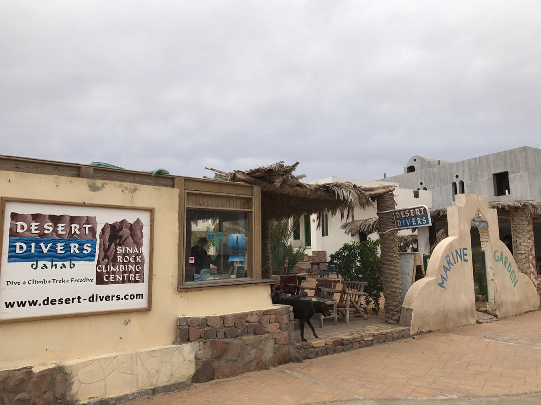 Dahab Divers Lodge-达哈卜必去景点