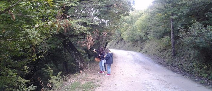 Breakfreemtb-乔泰迪斯必去景点