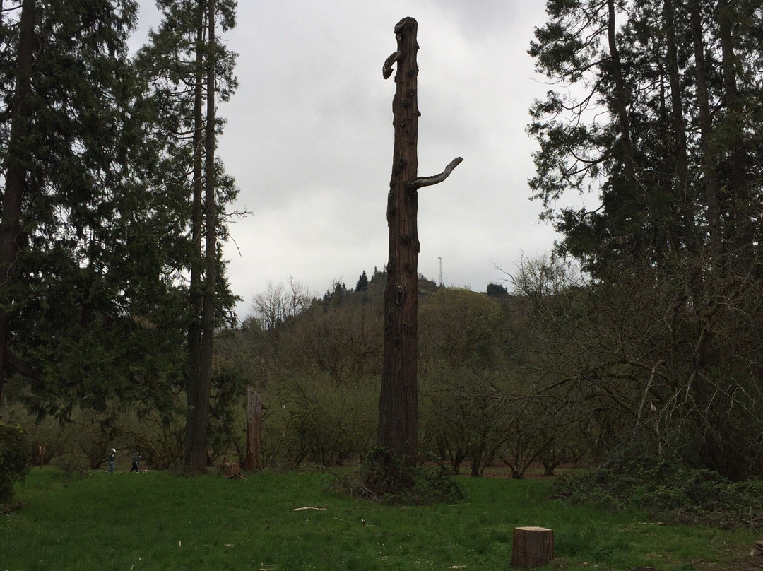 Dorris Ranch-斯普林菲尔德必去景点