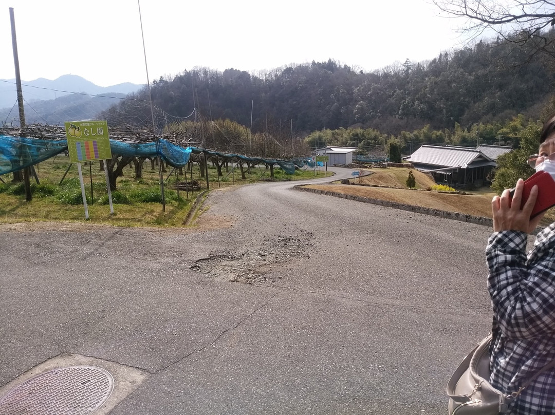 Suisha no Sato Fruits Topia-矢挂町必去景点