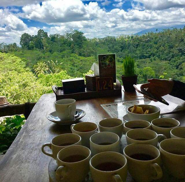 Your Bali Tour Driver-吉安雅必去景点