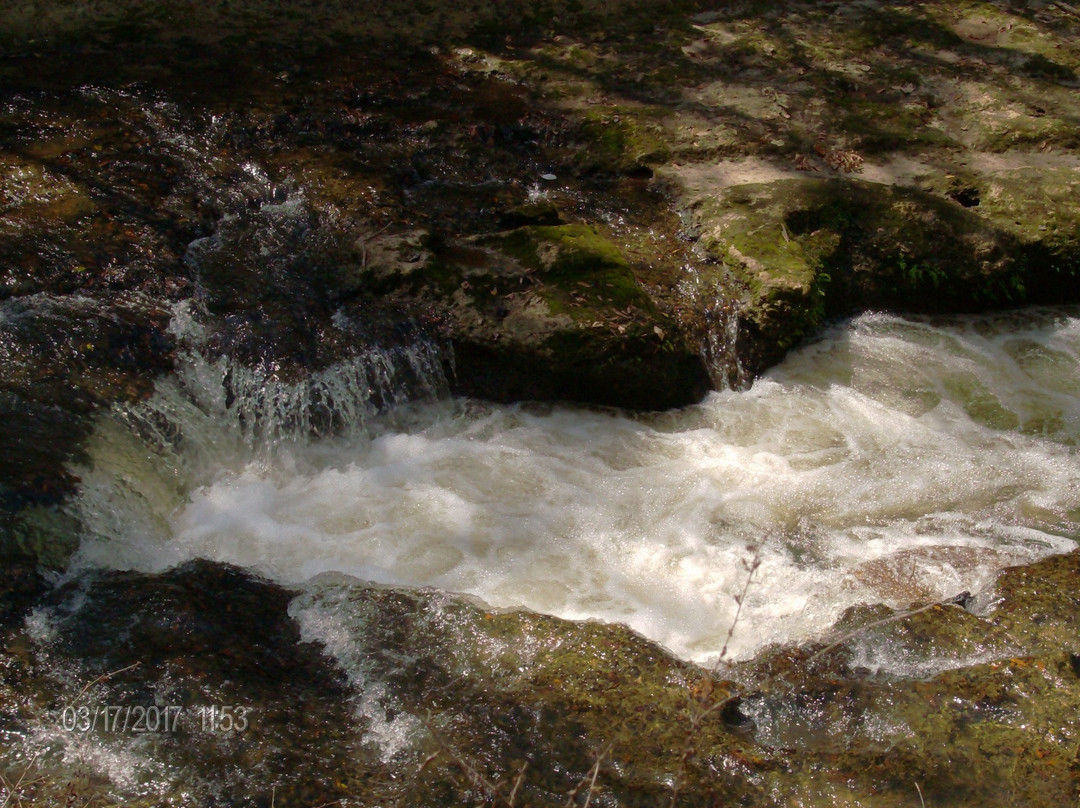 Coheelee Creek Covererd Bridge-Blakely必去景点