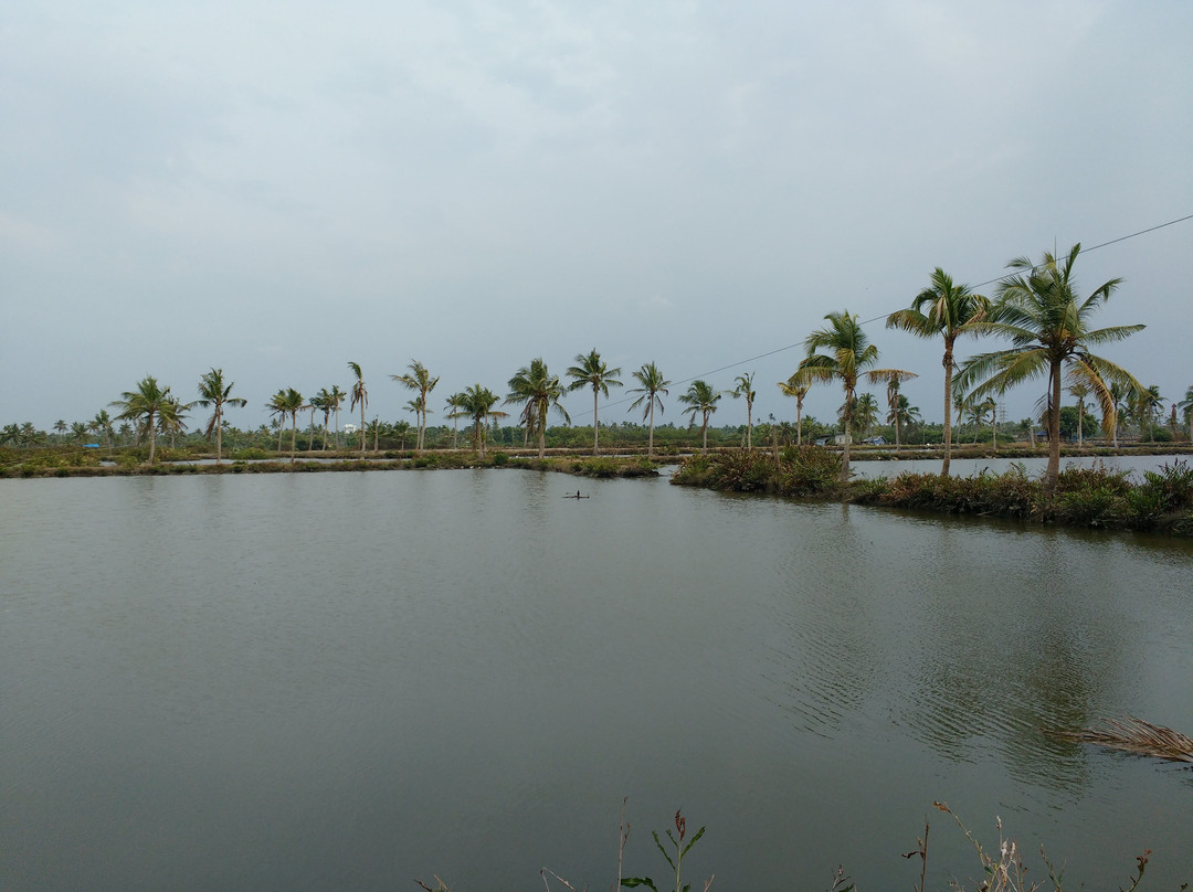 Mulavukad Island景点图片