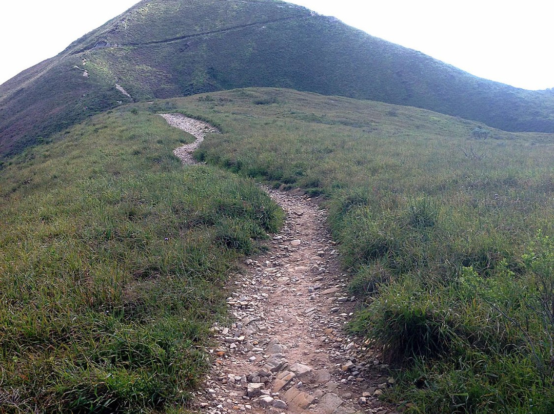 Valencia Peak Trail景点图片