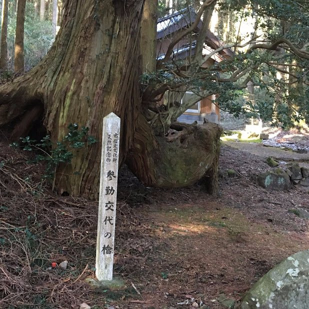 Sankinkotai no Hinoki-阿苏市必去景点