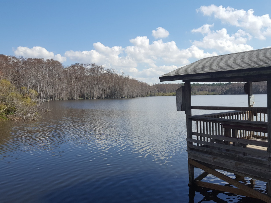 Trout Lake Nature Center景点图片