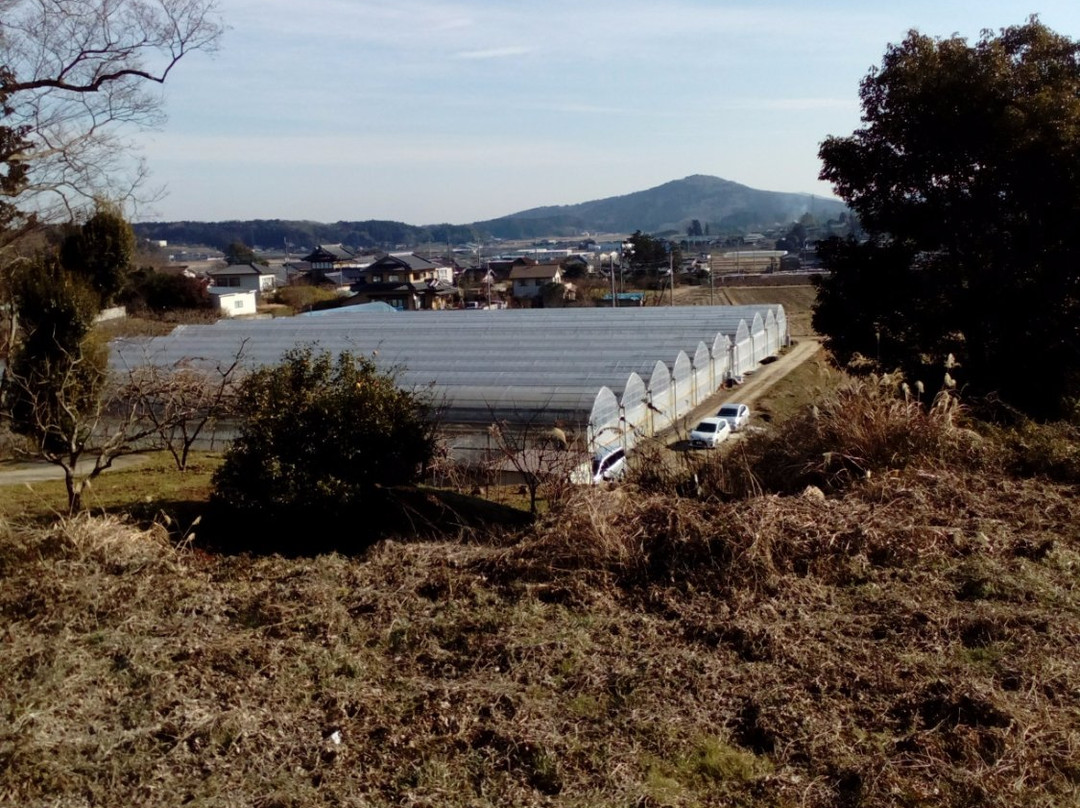 Ichigoya Nomunomu景点图片