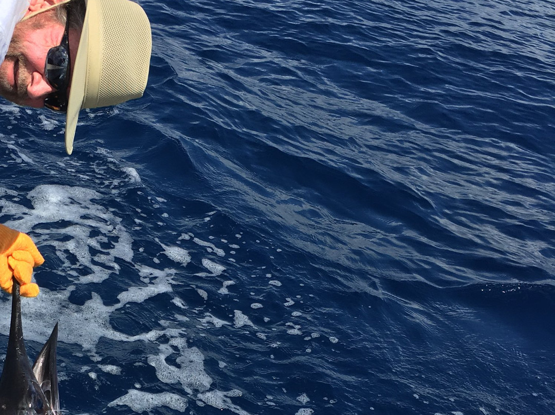 Maverick Sportfishing Charters-梦城必去景点