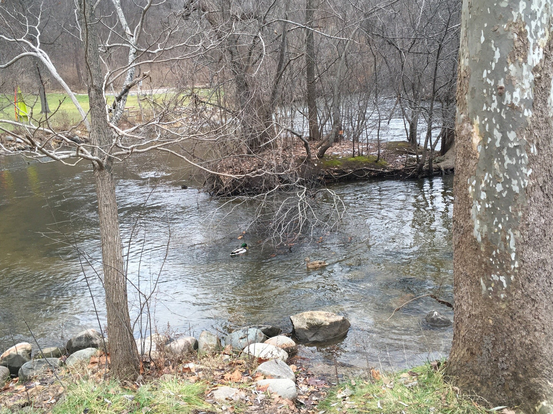 Gallup Park-安娜堡必去景点
