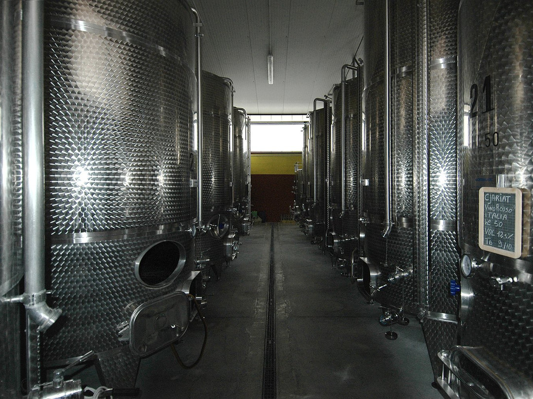 Azienda Agricola Tondat景点图片