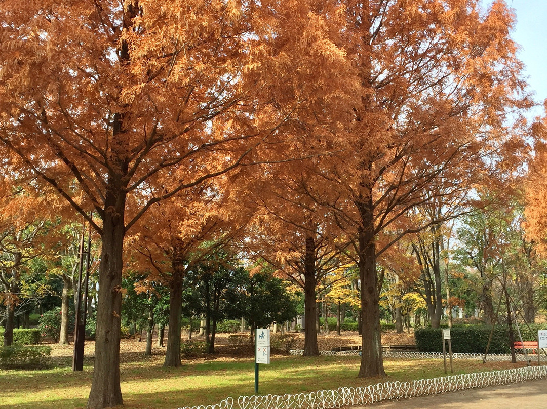 Soka Park-草加市必去景点