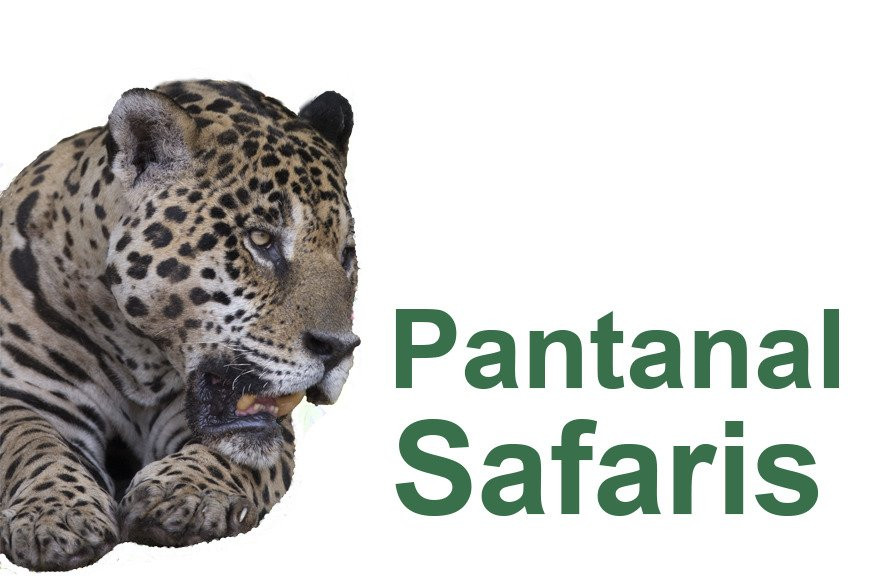 Pantanal Safaris景点图片